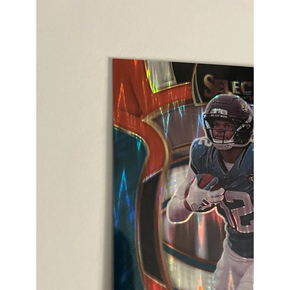 Panini this 2025
